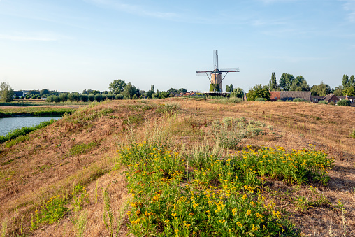 Windmill De Arend in the Dutch village of Terheijden seen from De Kleine Schans (anno 1590) a fortification from the Eighty Years' War also called the Dutch War of Independence (1568-1648).