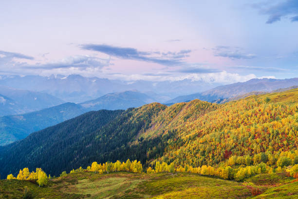 istock Autumn landscape in the mountains 1015957316