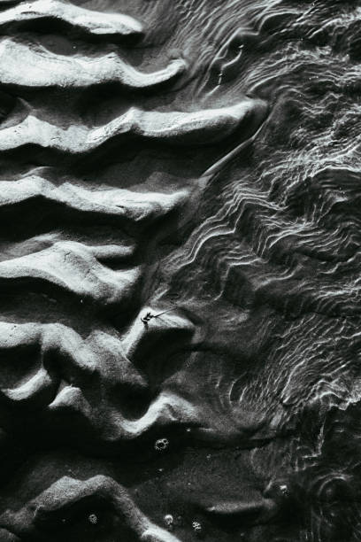 istock Seascape - gorgeous abstract background sand pattern in black and white with wrinkly water - the bottom of the Wadden sea, the Netherlands 1015958206