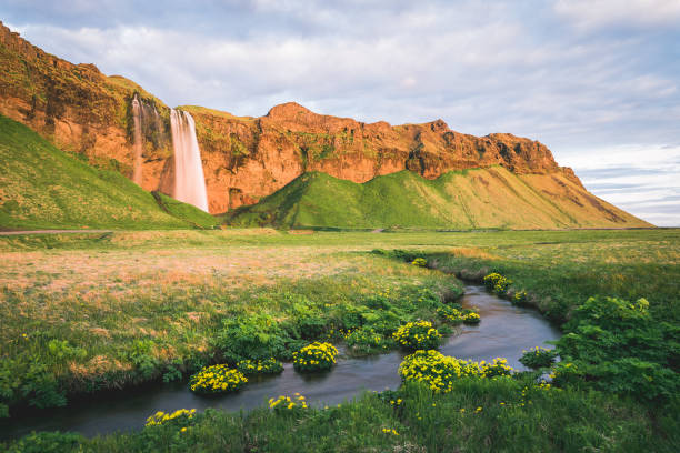 istock Amazing landscape with Seljalandsfoss waterfall in Iceland 1015958564