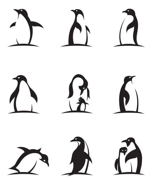 penguin icon set collection of black penguin icons isolated on white background penguin stock illustrations