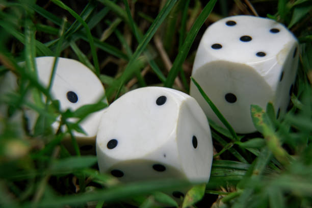 istock Close-up dice on the grass, chance for winning 1015977282