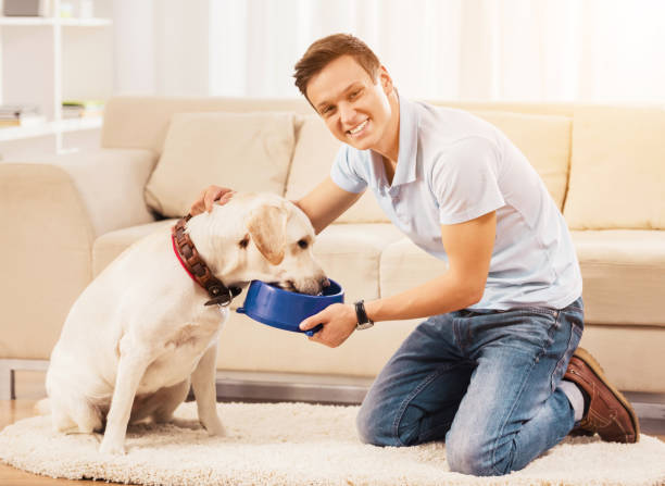 istock Young Man Feeding Dog Sitting on Floor in Room. 1015989596