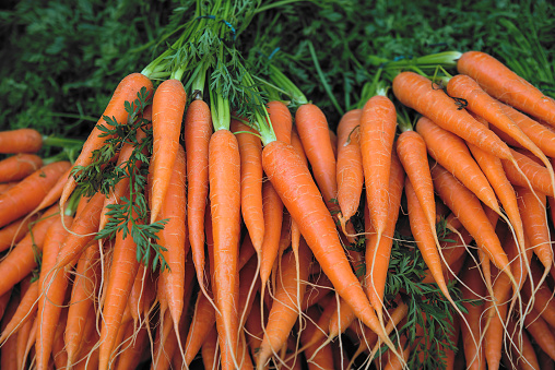 Zanahoria fresca racimos en mercado al aire libre photo