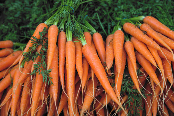 grappoli di carote fresche nel mercato all'aperto - carrot foto e immagini stock