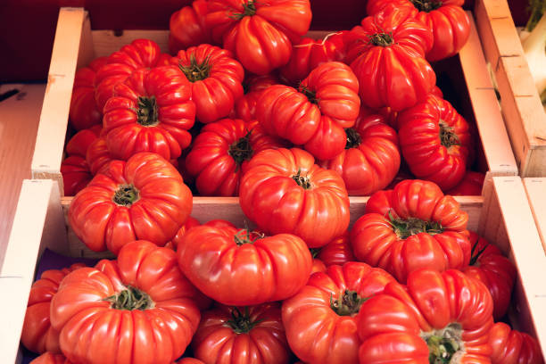 pamiątkowe pomidory na francuskim targu na świeżym powietrzu - heirloom tomato organic tomato rustic zdjęcia i obrazy z banku zdjęć