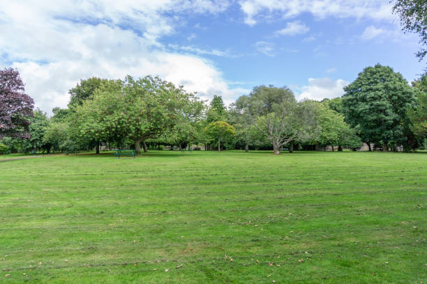 istock Scottish Countryside Lush Green Fields & Trees 1016005660