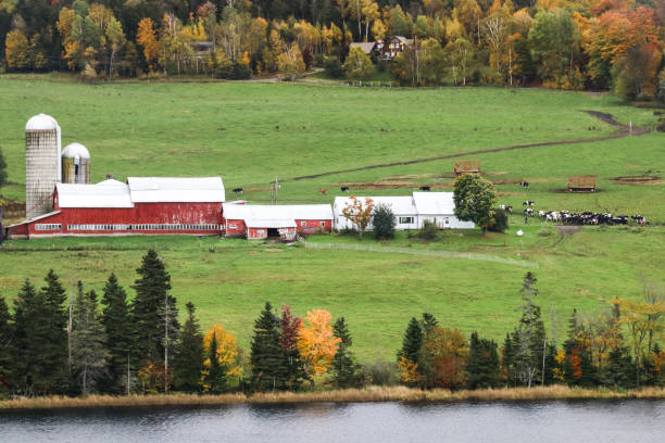 istock Vermont Fall Foliage Landscapes 1016006534