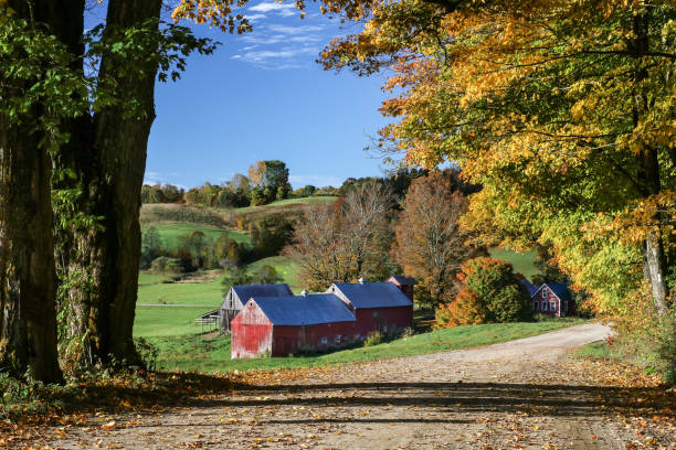 istock Vermont Fall Foliage Landscapes 1016006850