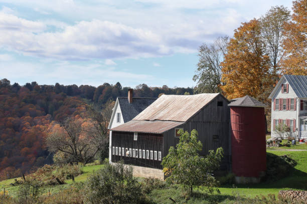 istock Vermont Fall Foliage Landscapes 1016009104