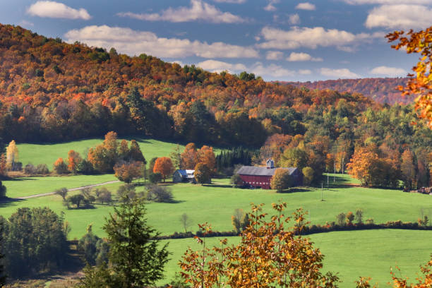istock Vermont Fall Foliage Landscapes 1016013636