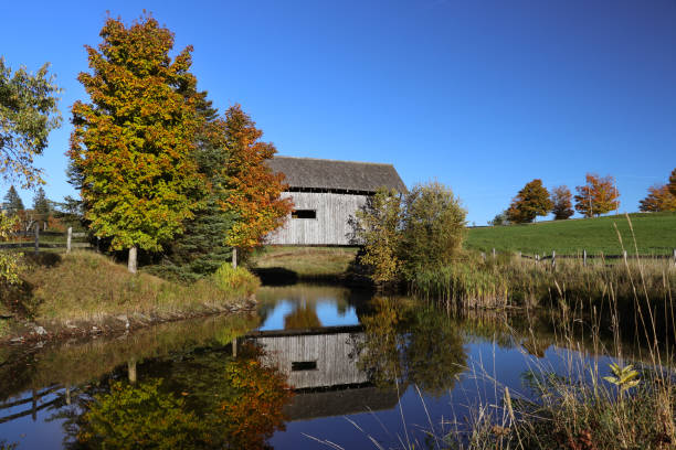 istock Vermont Fall Foliage Landscapes 1016014020