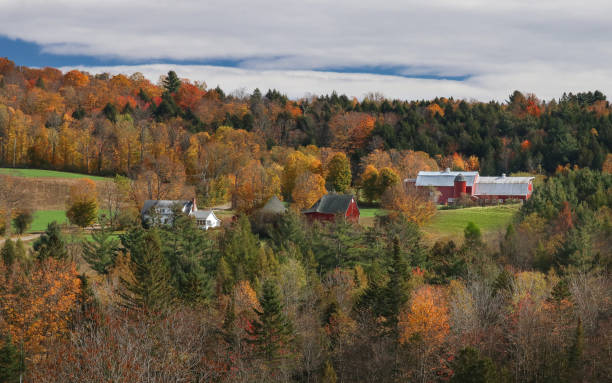 istock Vermont Fall Foliage Landscapes 1016014360