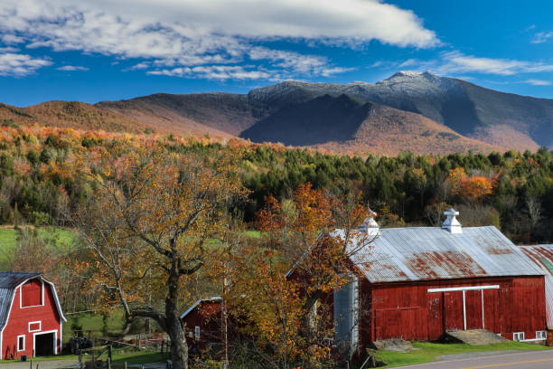 istock Vermont Fall Foliage Landscapes 1016014464