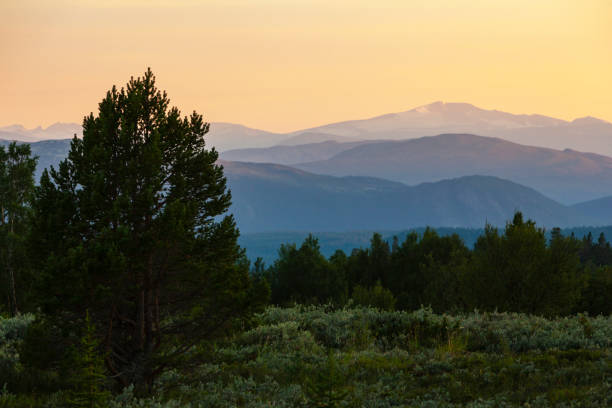 istock Sunset in Rondane National Park. 1016024424