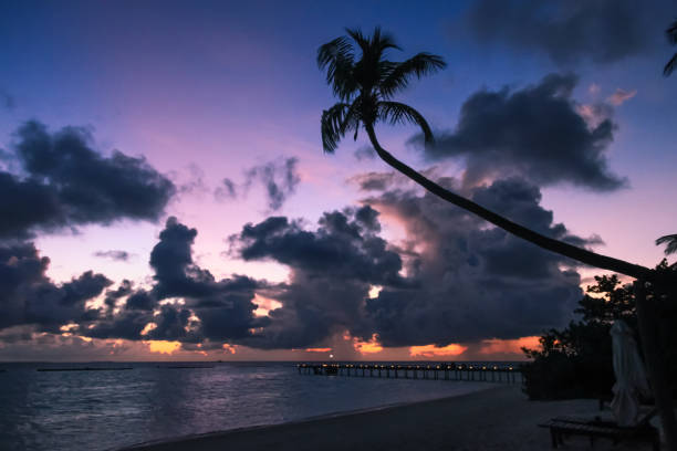 istock Tropical Sunset over Maldives Island Beach Palm Tree and Pacific Ocean at Dusk 1016024500