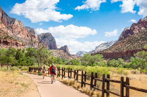 People on summer hiking trip in the mountains walking on pathway. Zion National Park, Utah, USA
