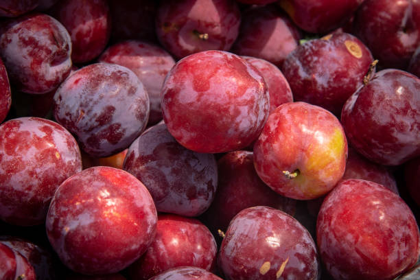 istock Fresh healthy fruits 1016032174