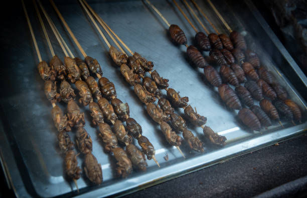 istock Delicious Insects on a stick ready to be eaten 1016039480