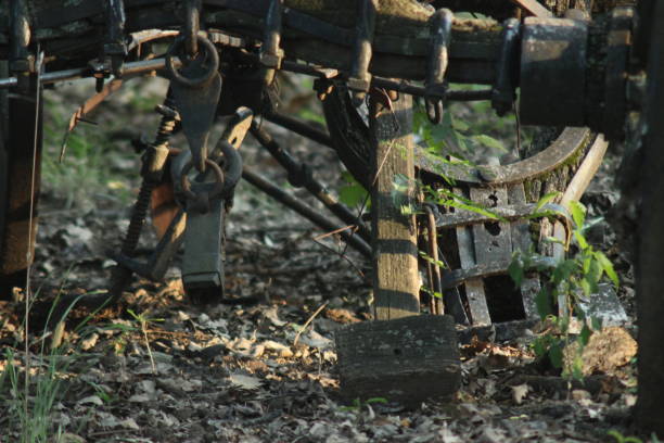 istock Wooden Horse Wagon 1016039700