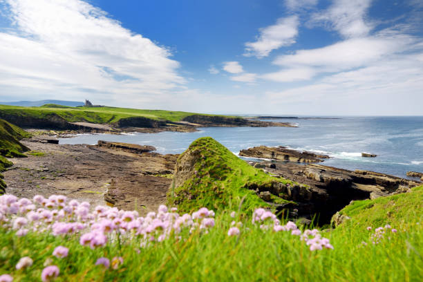 istock Spectacular aerial view of Mullaghmore Head with huge waves rolling ashore. 1016043050