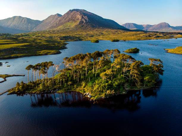 istock Twelve Pines Island, standing on a gorgeous background formed by the sharp peaks of a mountain range called Twelve Bens, County Galway, Ireland 1016043714