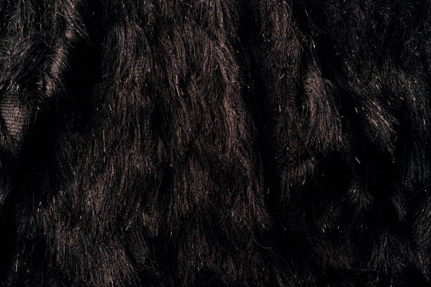 istock top view of brown furry textile as background 1016049530
