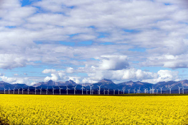 istock Wind Turbine Renewable Energy 1016052350