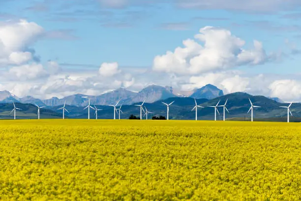 Wind turbine renewable energy power generation in canola field near Pincher Creek, Alberta, Canada.