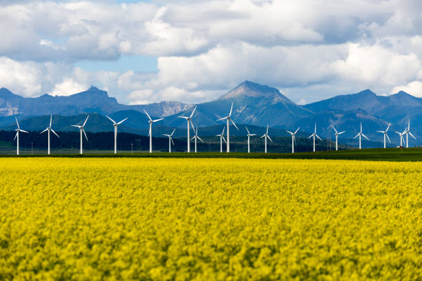 istock Wind Turbine Renewable Energy 1016052438