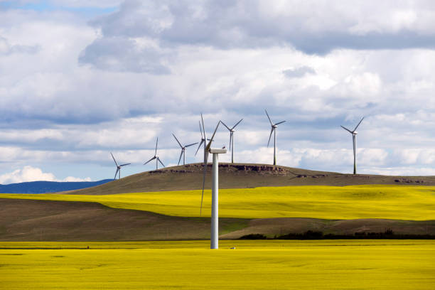 istock Wind Turbine Renewable Energy 1016052468