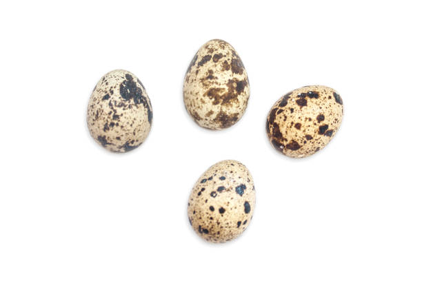 istock Group of Quail eggs, isolated on white background 1016055656