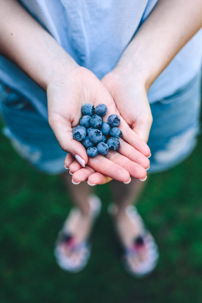 istock Woman holding blueberries in her hands 1016061032