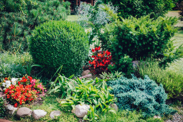 istock Neat flowerbed in a home garden. 1016061116