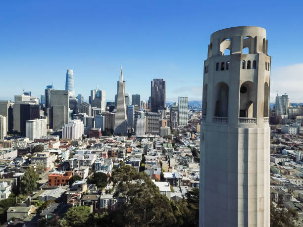 istock Bird eye view Coit Tower and financial district downtown San Francisco 1016073926