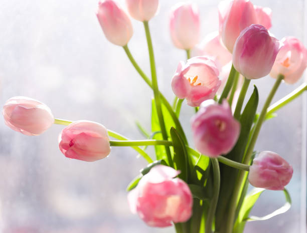 istock A bouquet of  tulips in a vase. Soft selective focus 1016074166