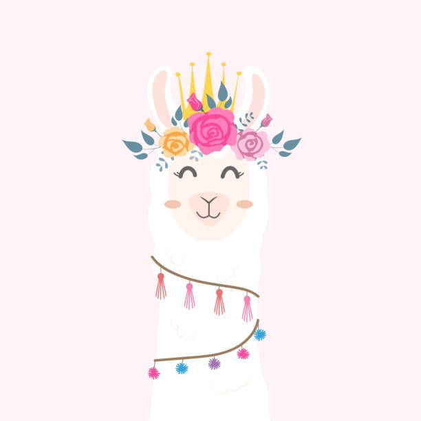 illustrations, cliparts, dessins animés et icônes de tête de lama mignon avec couronne de fleur. - humor pets loving vertical