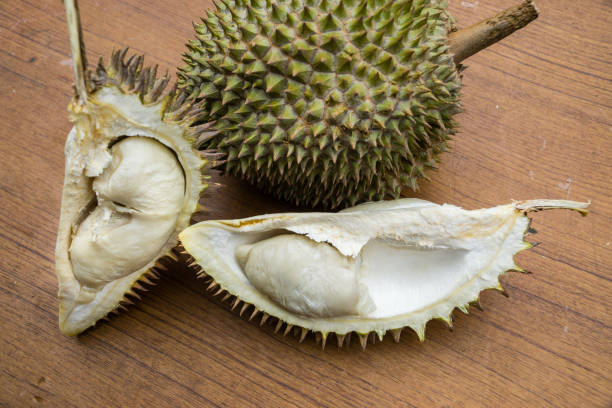 istock Fresh durian fruit as the king of fruit 1016083490