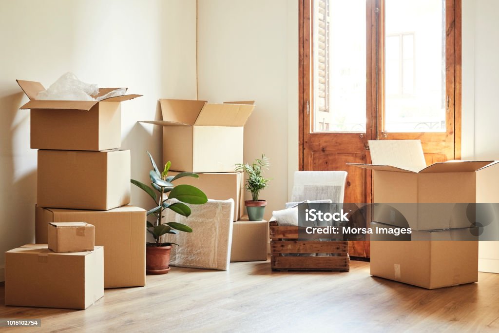 Moving boxes and potted plants at new apartment Cardboard boxes and potted plants in empty room. Moving objects are on hardwood floor of new apartment. Relocation Stock Photo
