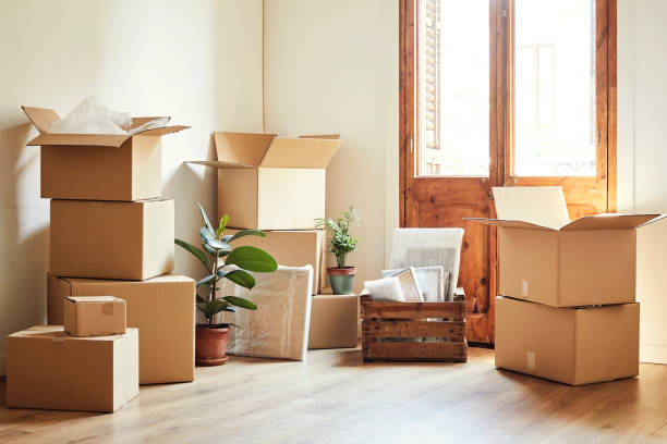 Moving boxes and potted plants at new apartment Cardboard boxes and potted plants in empty room. Moving objects are on hardwood floor of new apartment. carton stock pictures, royalty-free photos & images