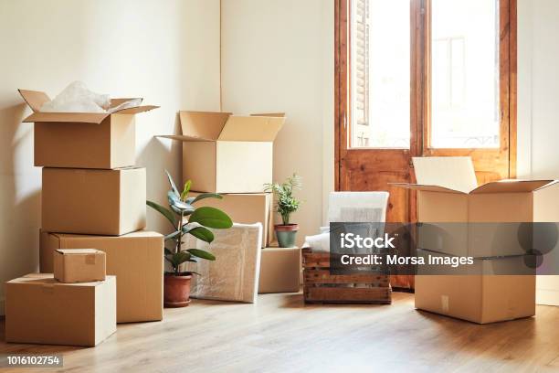 Moving Boxes And Potted Plants At New Apartment Stock Photo - Download Image Now - Relocation, Box - Container, Moving House