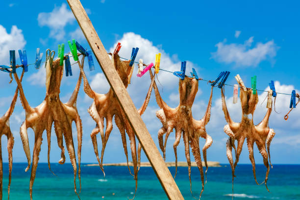 istock Drying octopus in Chania, Crete, Greece 1016103130