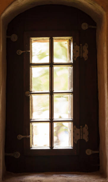 istock Wooden dark door with glass 1016103594