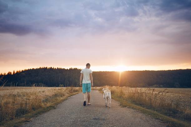 istock Man with dog on the rural road 1016124528