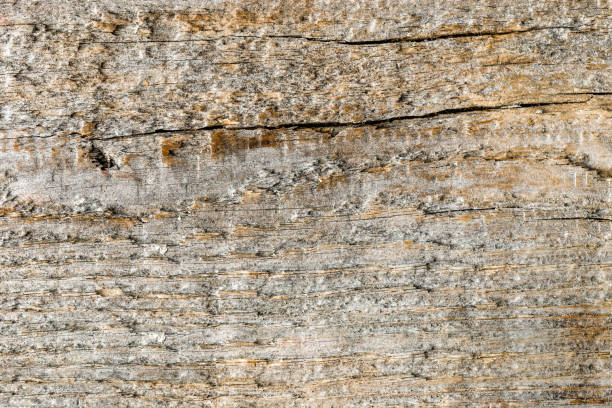 istock Texture of wooden background, empty copy space 1016124624