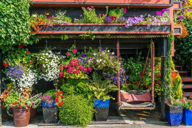 istock Potted Flowers Arrangement 4 1016128762