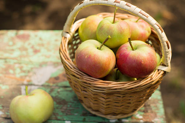 istock The apples in the basket 1016129208