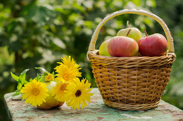 istock The apples in the basket 1016129296