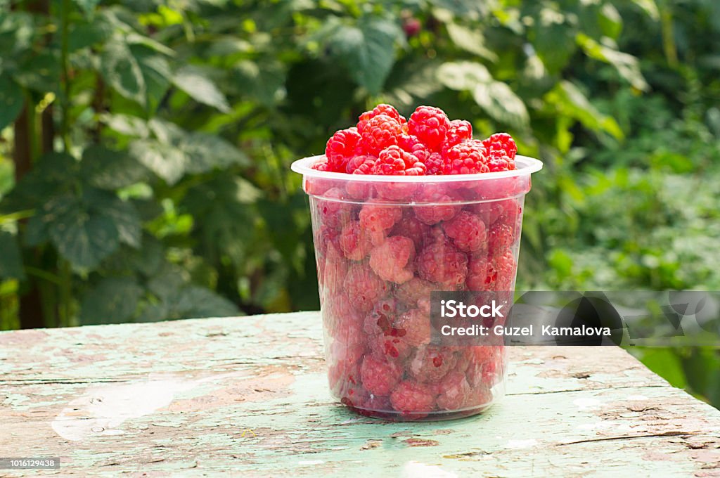Raspberry in the garden Antioxidant Stock Photo