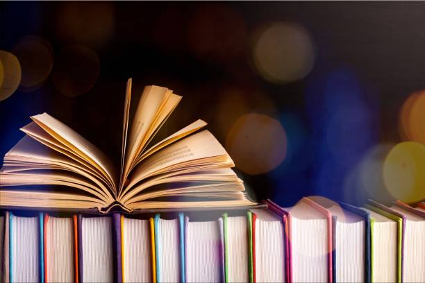 School. Books collection isolated on background. book display stock pictures, royalty-free photos & images